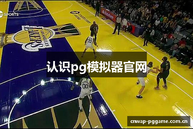 认识pg模拟器官网
